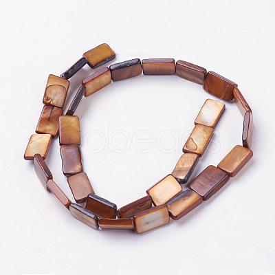 Natural Freshwater Shell Beads Strands BSHE-L036-25-1