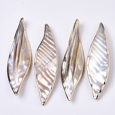 Natural Freshwater Shell Big Pendants X-SHEL-R047-04-1