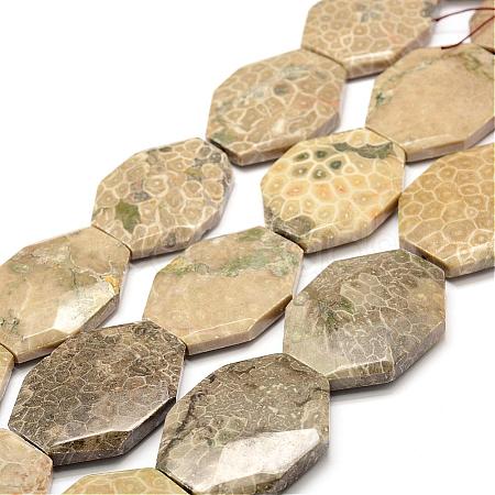 Natural Fossil Coral Beads Strands G-F477-07-44x34mm-1