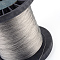 Tiger Tail, Original Color(Raw) Wire, Nylon-coated 201 Stainless Steel, Raw, 0.3mm, about 10826.77 Feet(3300m)/1000g