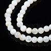 Natural Freshwater Shell Beads Strands X-BSHE-T009A-01A-4