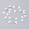 Natural White Shell Mother of Pearl Shell Beads SSHEL-L018-009-3