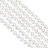 GOMAKERER 2 Strands Shell Pearl Beads Strands BSHE-GO0001-03-1