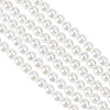 GOMAKERER 2 Strands Shell Pearl Beads Strands BSHE-GO0001-03-1