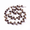 Natural Petrified Wood Beads Strands G-I246-03-2