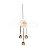 Flat Round & Rose Hanging Crystal Chandelier Pendant HJEW-M002-03-1