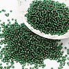 8/0 Transparent Glass Round Seed Beads X-SEED-J010-F8-37-1