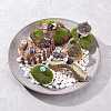 Gorgecraft Succulent Micro Landscape Dollhouse Ornaments DJEW-GF0001-55-5