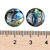 Natural Paua Shell Cabochons SSHEL-I026-20C-3