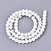 Natural Freshwater Shell Beads Strands SHEL-N026-67-2