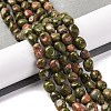 Natural Unakite Beads Strands G-G146-A14-01-2