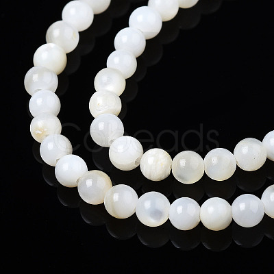 Natural Freshwater Shell Beads Strands X-BSHE-T009A-01A-1