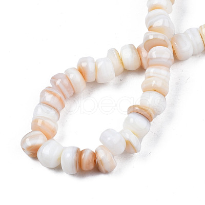 Natural Trochid Shell/Trochus Shell Beads Strands SHEL-S258-081-A01-1