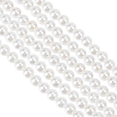 GOMAKERER 2 Strands Shell Pearl Beads Strands BSHE-GO0001-03-1