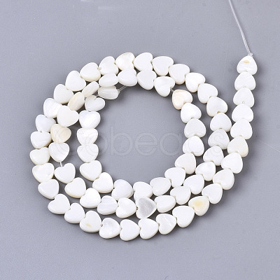 Natural Freshwater Shell Beads Strands SHEL-N026-67-1