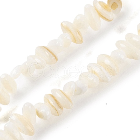 Natural Anomaly Freshwater Shell Beads Strands BSHE-S304-05A-1