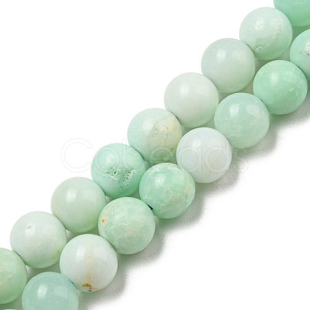 Grade A Natural Chrysoprase Beads Strands G-R494-A02-02-1