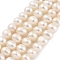 Natural Cultured Freshwater Pearl Beads Strands, Potato, Navajo White, 5~6mm, Hole: 0.6mm, about 33pcs/strand, 6.89~7.09 inch(17.5~18cm)