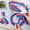  2 Rolls 2 Styles Independence Day Polyester Ribbon OCOR-NB0001-70-3