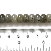 Natural Labradorite Beads Strands G-G102-C06-01-5
