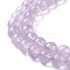 Natural Amethyst Beads Strands G-B038-B02-4