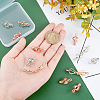 ARRICRAFT 12Pcs 3 Colors Alloy Bead Cage Pendants FIND-AR0001-60-3