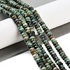 Natural African Turquoise(Jasper) Beads Strands G-K343-C11-01-2