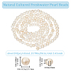 Beebeecraft 2 Strands Natural Cultured Freshwater Pearl Beads Strands PEAR-BBC0001-18-2