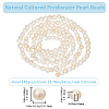 Beebeecraft 2 Strands Natural Cultured Freshwater Pearl Beads Strands PEAR-BBC0001-18-2