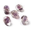 Natural Amethyst Dyed Chips Beads G-E185-14-1