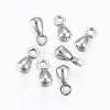 304 Stainless Steel Charms STAS-G161-10P-1