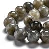 Natural Labradorite Beads Strands G-G212-8mm-23-14