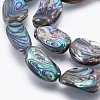 Natural Abalone Shell/Paua Shell Beads Strands SSHEL-P014-02-3