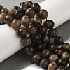 Natural Chiastolite Beads Strands G-Q161-A03-04-2