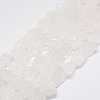 Raw Rough Natural Quartz Crystal Beads Strands G-F403-11-1