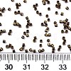11/0 Grade A Glass Seed Beads X-SEED-S030-0601F-4