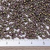 MIYUKI Round Rocailles Beads X-SEED-G007-RR2035-4