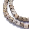 Natural Conch Fossil Beads Strands G-K310-B21-3