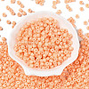 Opaque Baking Paint Glass Seed Beads SEED-T008-02D-2