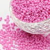 Baking Paint Glass Seed Beads SEED-S001-K2-1