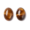 Natural Yellow Tiger Eye Cabochons G-B030-19-2