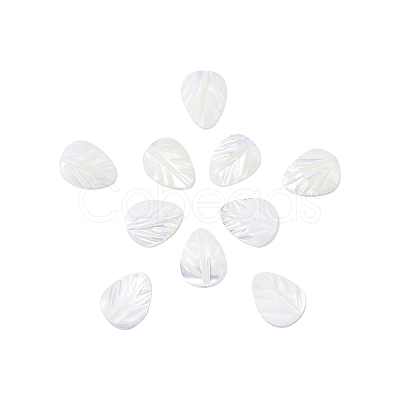 Natural Shell Beads Strands SSHEL-CJ0001-08-1