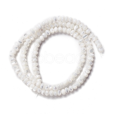 Natural Trochid Shell/Trochus Shell Beads Strands X-SSHEL-O001-24B-02-1