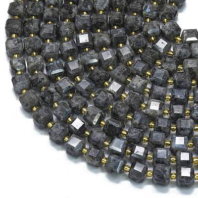 Natural Larvikite Beads Strands G-K389-A31-01-1