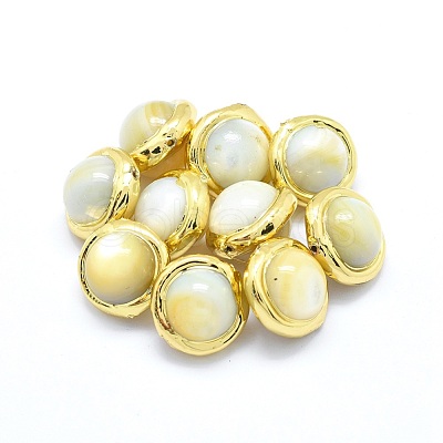 Shell Pearl Beads PEAR-P057-02G-1