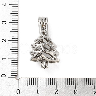 Alloy Bead Cage Pendants FIND-M012-01C-P-1