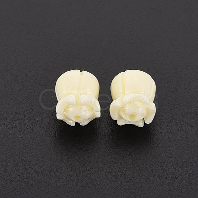 Shell Beads SSHEL-T014-47B-1