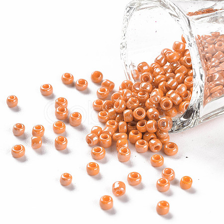 8/0 Glass Seed Beads SEED-XCP0001-10-1