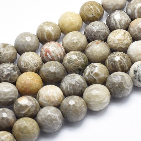 Natural Fossil Coral Beads Strands G-K256-11-10mm-1