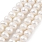 Natural Cultured Freshwater Pearl Beads Strands, Potato, Floral White, 5~6mm, Hole: 0.6mm, about 33pcs/strand, 6.89~7.09 inch(17.5~18cm)